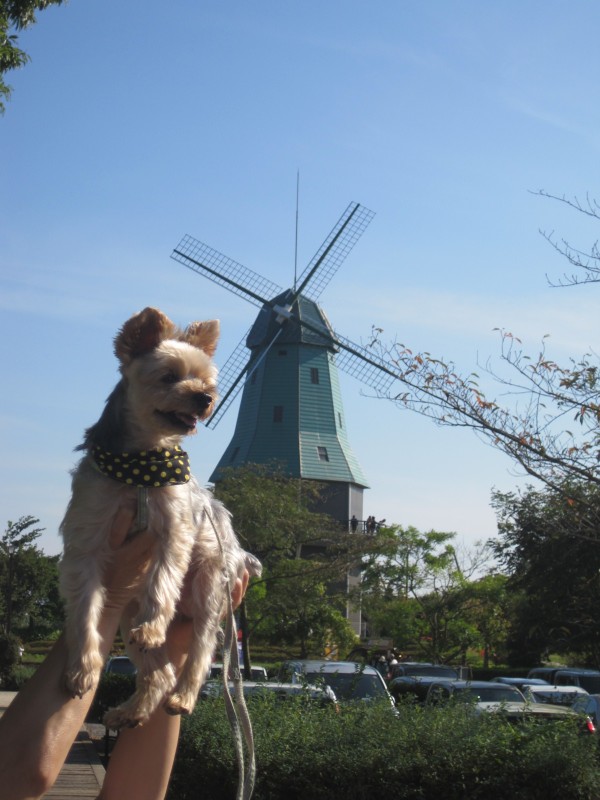 霞ヶ浦　総合公園