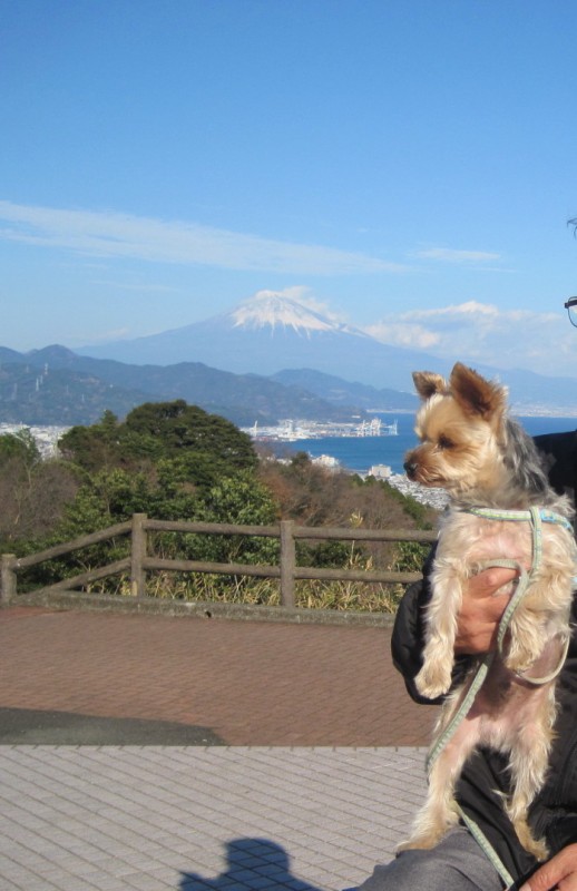 日本平・久能山東照宮
