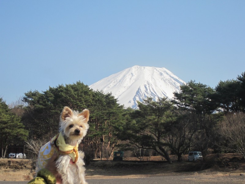 山梨県：富士山・河口湖・本栖湖