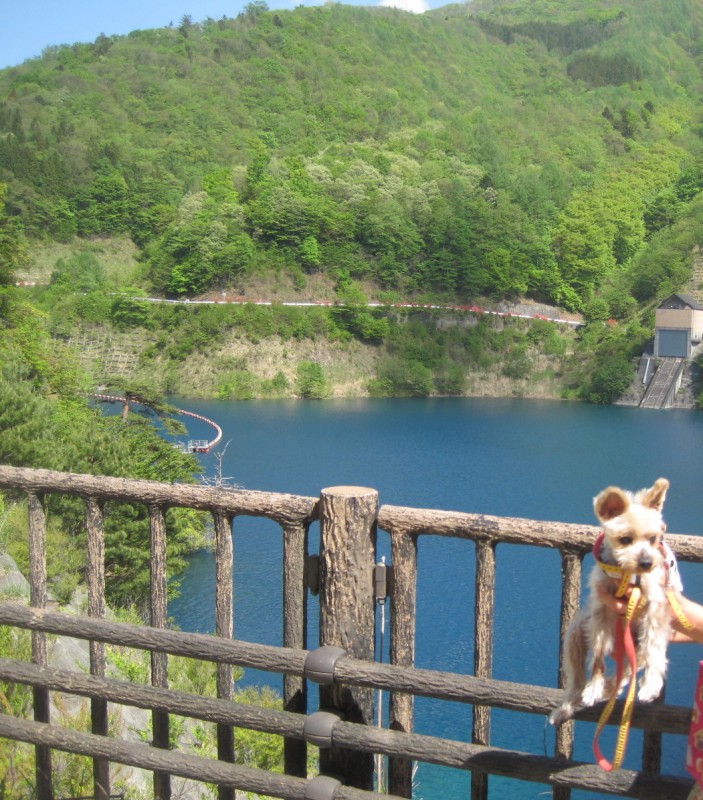群馬県：四万川ダム・奥四万湖