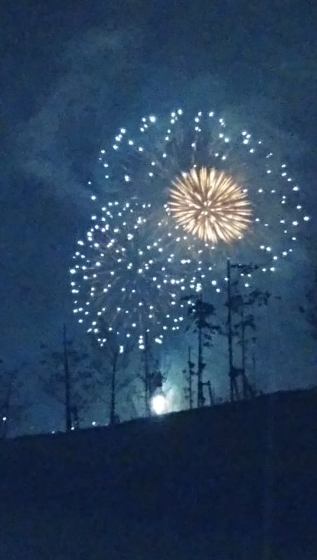 岩手県：三陸花火大会