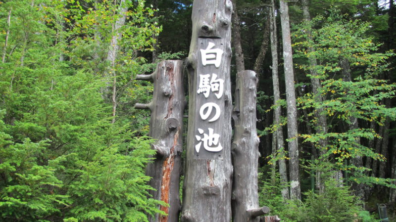 長野県：白駒の池