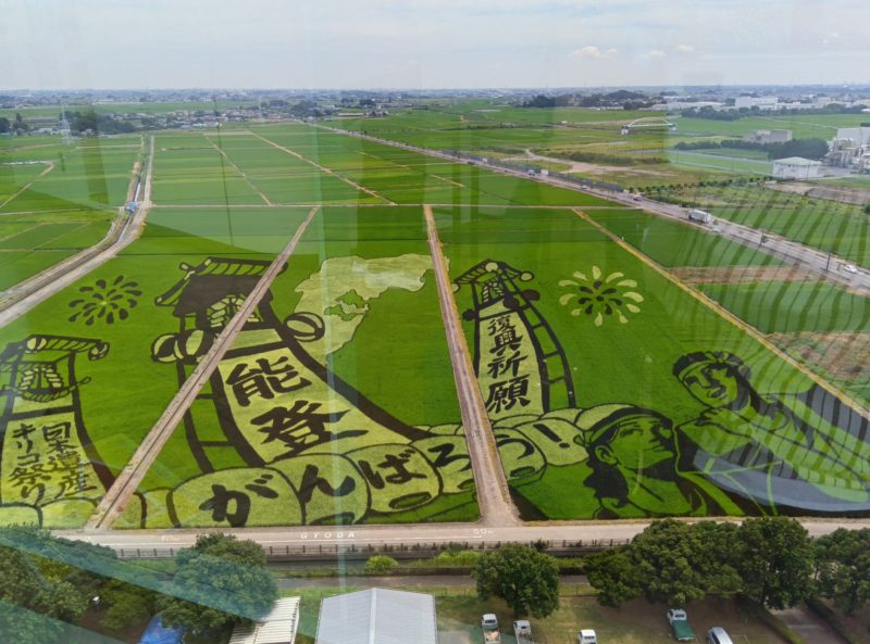 埼玉県：行田市　古代蓮の里　田んぼアート