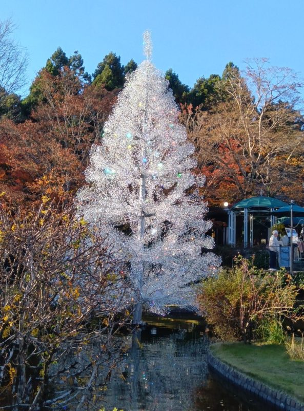 箱根：ガラスの森美術館
