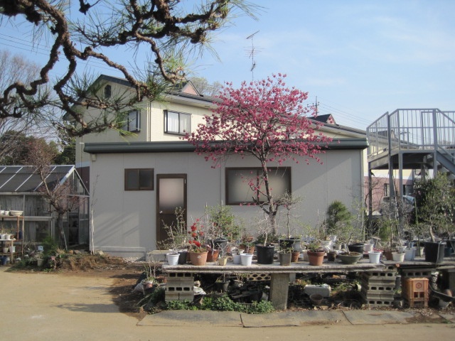 スズキハウス　ジェネス設置工事（埼玉県比企郡）の施工事例